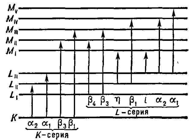 2202-14.jpg